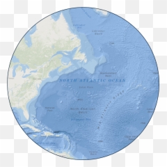 Data - Northeast Us Shelf Lter Emoji,Tigao Qingxu Emotion Raising