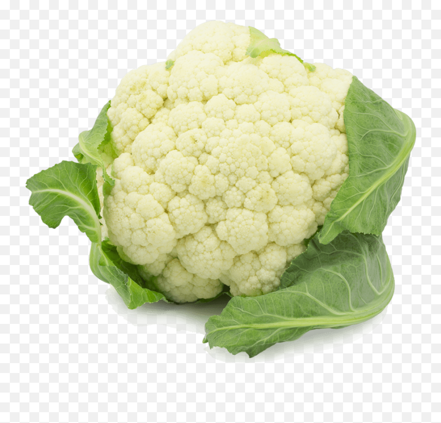 Undefined - Cauliflower Png Emoji,Cauliflower Emoji
