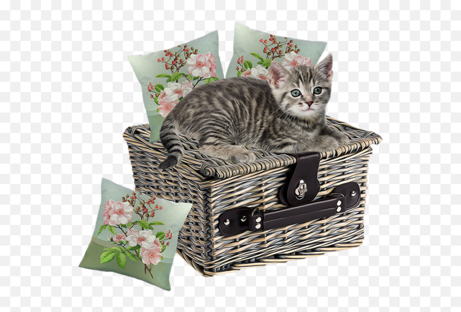 Animal Cat Pillows Basket Sticker - Decorative Emoji,Emoji Pillows Set Of 12