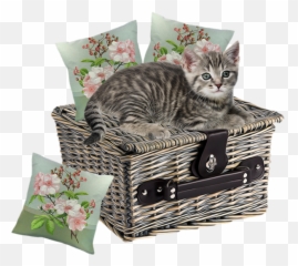 Animal Cat Pillows Basket Sticker - Decorative Emoji,Emoji Pillows Set Of 12