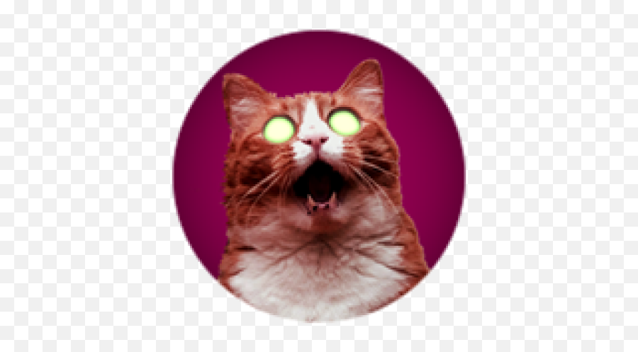 Doom Cat Survivor - Roblox Emoji,Yawn Emoji