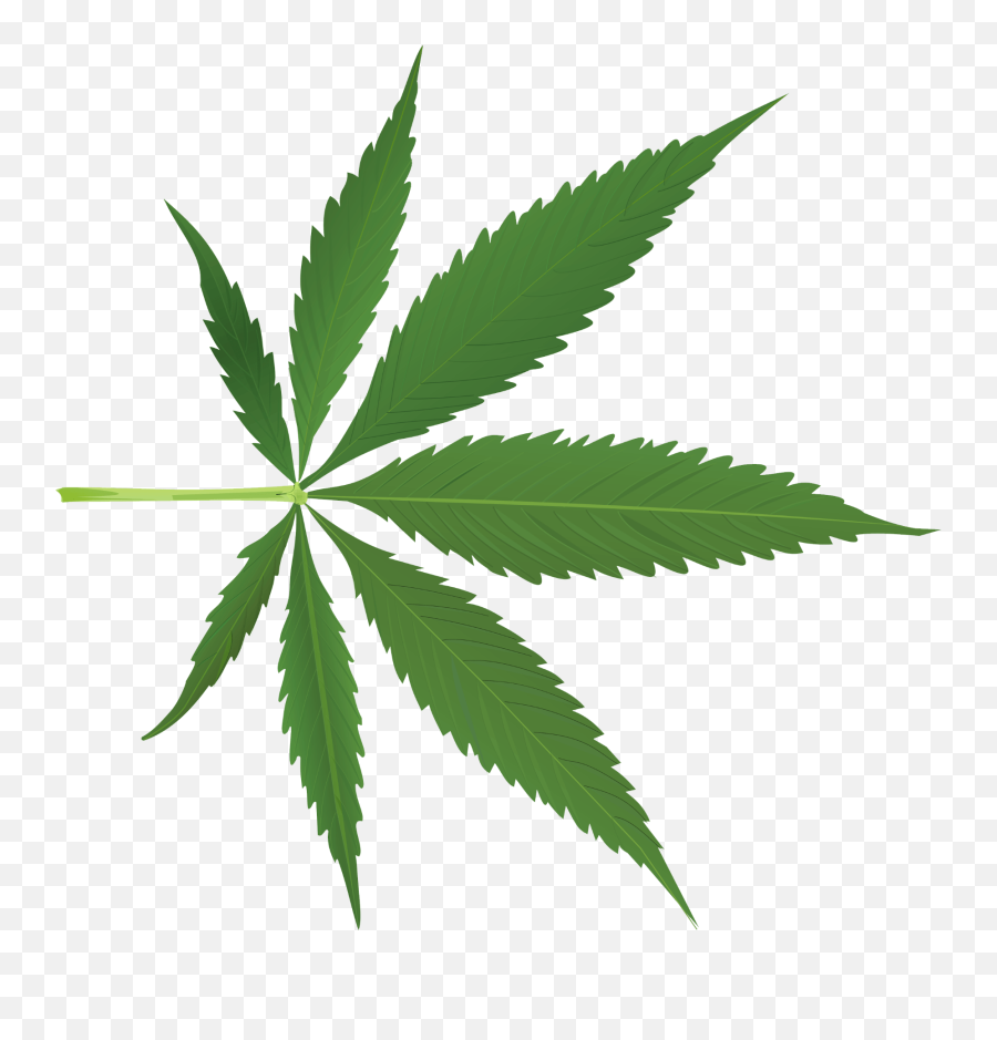 Marijuana Clipart Daun - Cannabis Cartoon Emoji,Weed Leaf Emoji