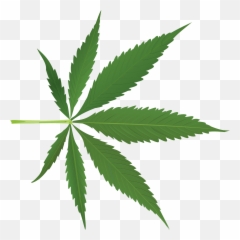 Marijuana Clipart Daun - Cannabis Cartoon Emoji,Weed Leaf Emoji