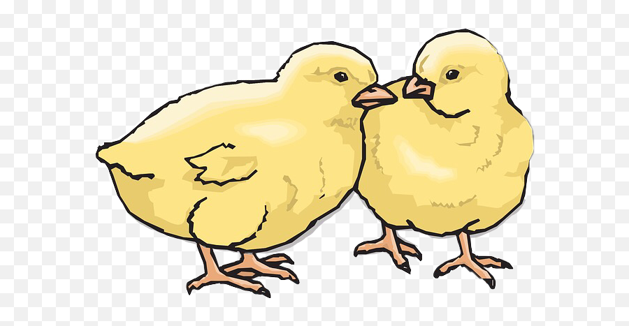 Chick Chicken Easterfreetoedit Sticker - Chicks Clipart Emoji,Emoji Party Chick