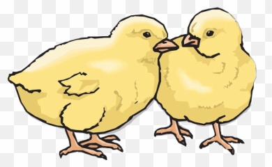 Chick Chicken Easterfreetoedit Sticker - Chicks Clipart Emoji,Emoji Party Chick