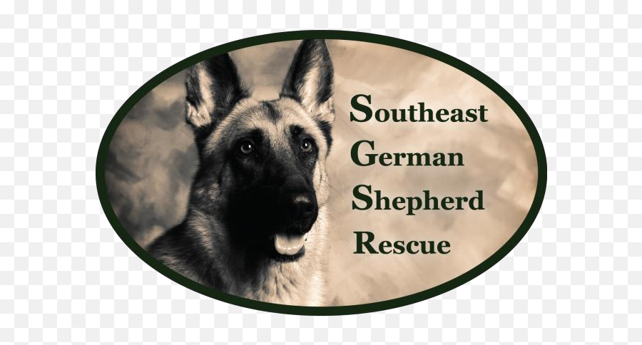 Southeast German Shepherd Rescue Emoji,How To Tell German Shepherds Emotions By Their Ears