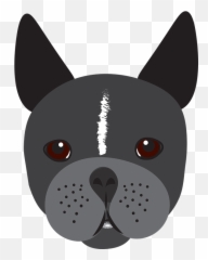 Free Photo Boston Canine Terrier Puppy - Gwanghwamun Gate Emoji,Emotions Do Zap Animais