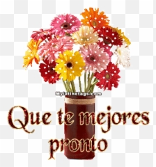 Top Mejor Amigs Stickers For Android - Espero Que Te Sientas Mejor Gif Emoji,Emojis Animales