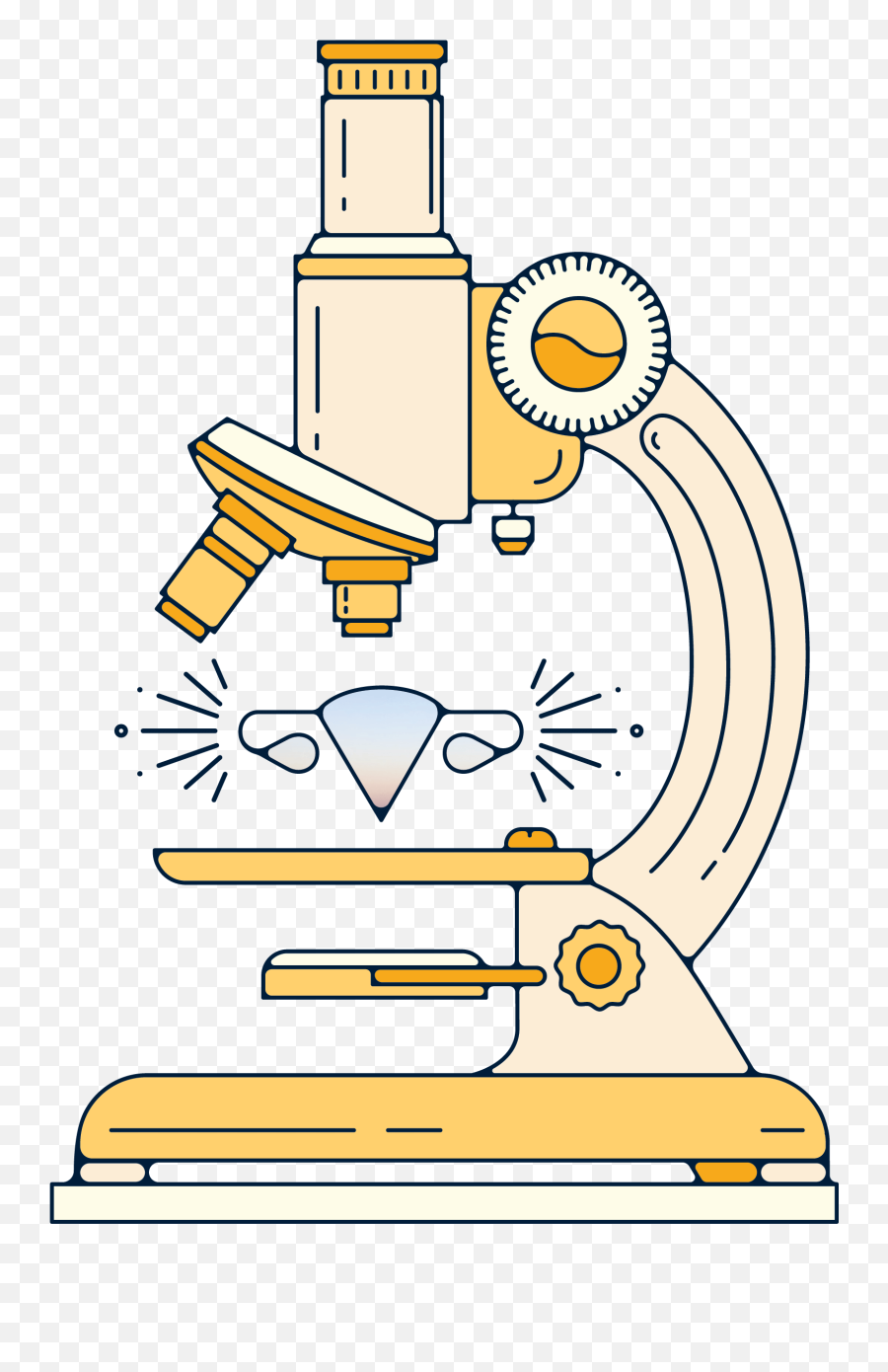 Meet Femidi The Marketplace Championing Womenu0027s Health - Daye Petrographic Microscope Emoji,The Emotions Of A Woman Shopper