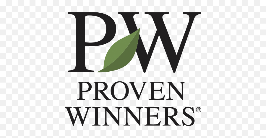 Proven Winners Shrubs - Proven Winners Plants Emoji,Picture Of Sweet Emotion Abelia In Garden
