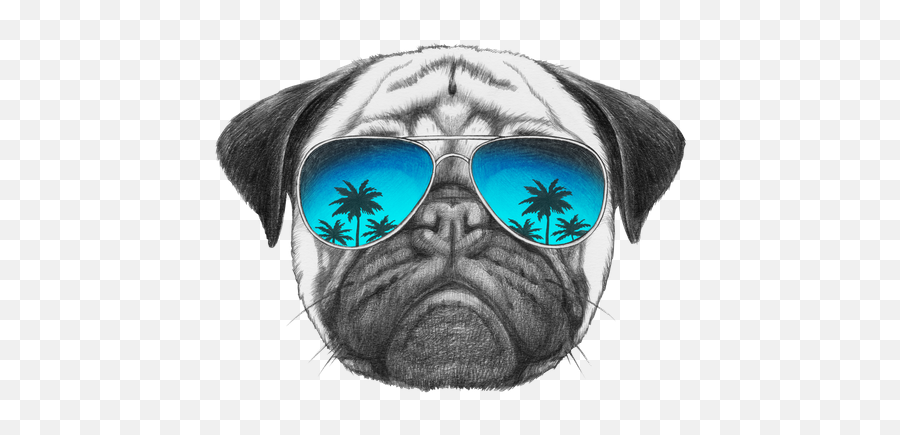 Pug Dog With Mirror Sunglasses - Pug Art Emoji,Pug Emoticons For Iphone