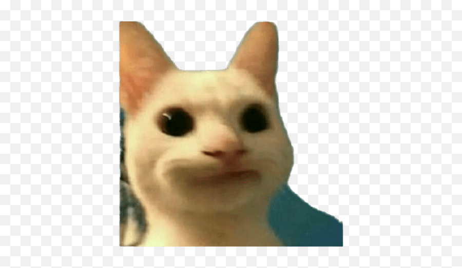 Buneya - Soft Emoji,Cat Heart Emoji Meme