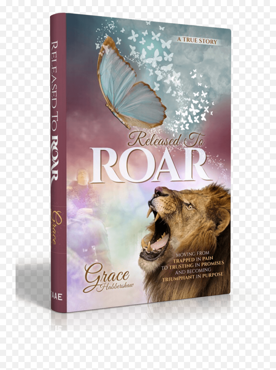 Grace Habbershaw - Aggression Emoji,Roar Like A Lion Emotions Book