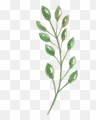 About Christina Earthwater - Twig Emoji,We Are Plants With Complex Emotions