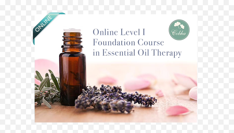 Foundation Course In Essential Oil - Aromaterapia En La Oficina Emoji,Essential Oils Emotions Brain Chart