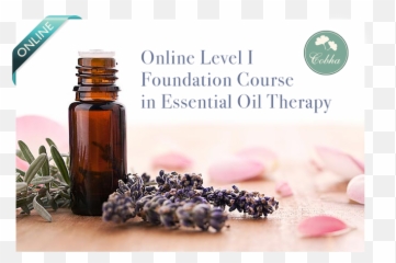 Foundation Course In Essential Oil - Aromaterapia En La Oficina Emoji,Essential Oils Emotions Brain Chart