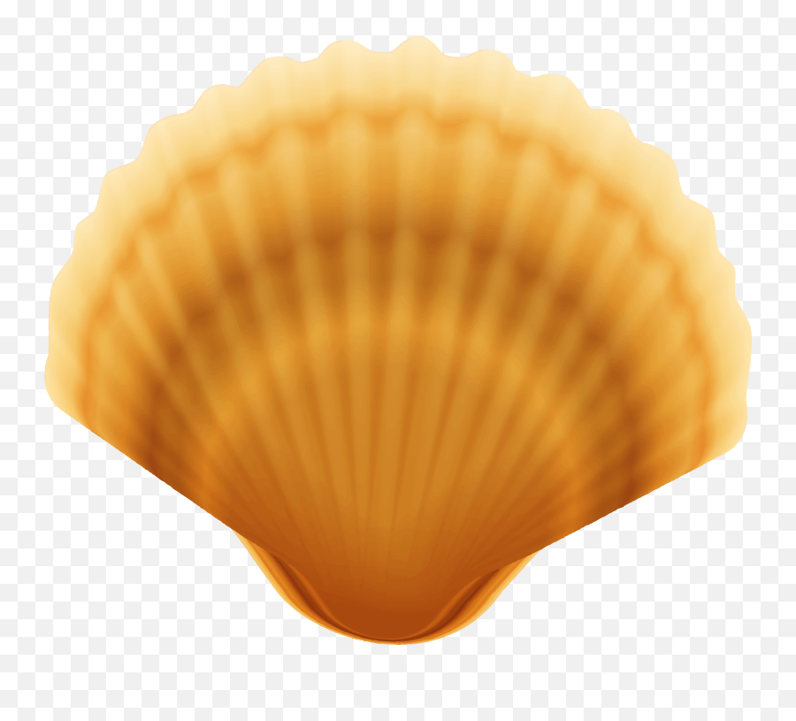 Clam Shell - Transparent Clam Clip Art Emoji,Clam Shell Emoji
