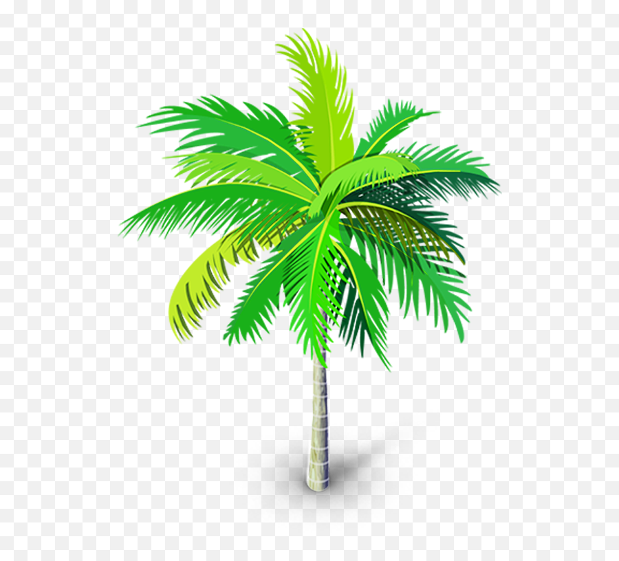Download Palm Tree Png Palm Trees - Transparent Tree Vector Emoji,Palm Tree Emoji