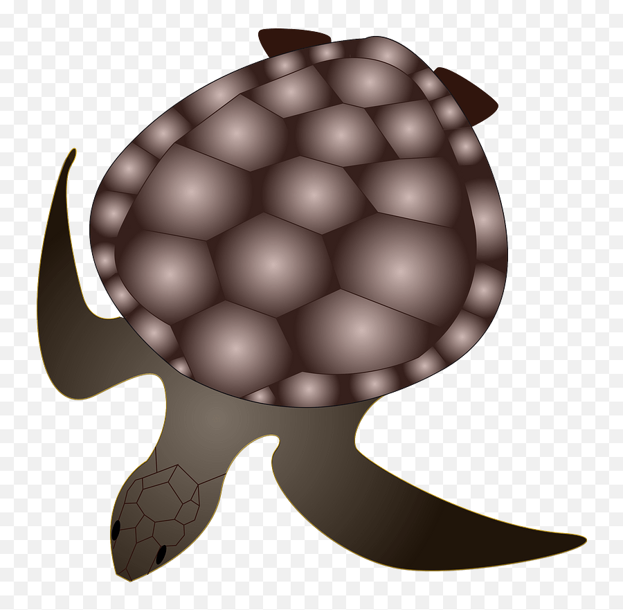 Turtle Clipart - Turtles Emoji,Turtle Shell Emoji