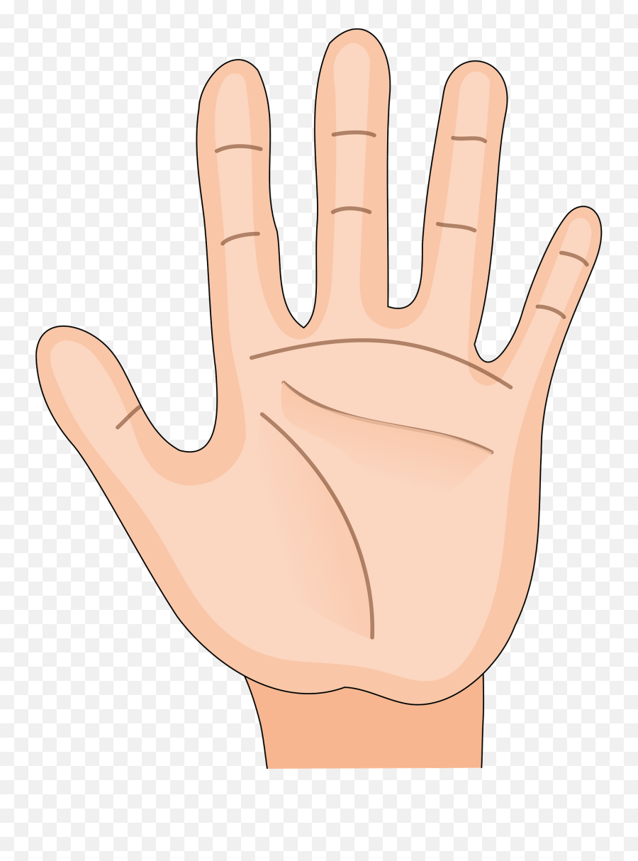 Guess The Category - Baamboozle Palm Hand Png Clipart Emoji,Roast Hand Emoji