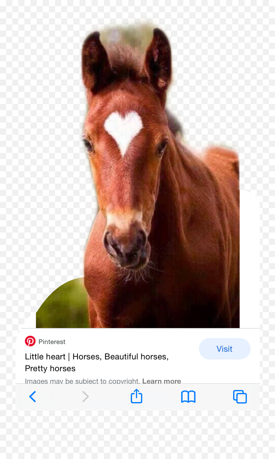 Discover Trending - Heart Horse Emoji,Emojis De Caballos