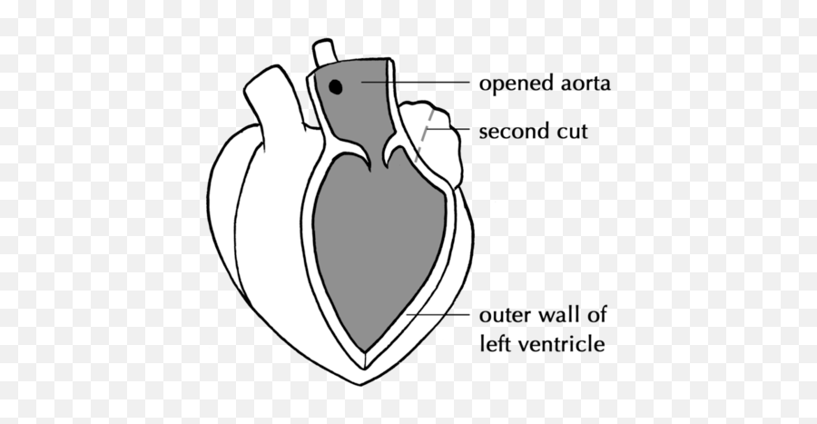 Gaseous Exchange In The Lungs - Language Emoji,Complex Emotion Chartillustration