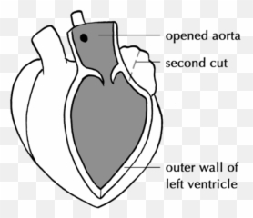 Gaseous Exchange In The Lungs - Language Emoji,Complex Emotion Chartillustration
