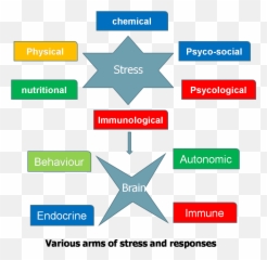 Stress Versus Reproduction In Animals Vetscan - Stress Et Reproduction Emoji,Levels Of Emotion In Zoo Animals