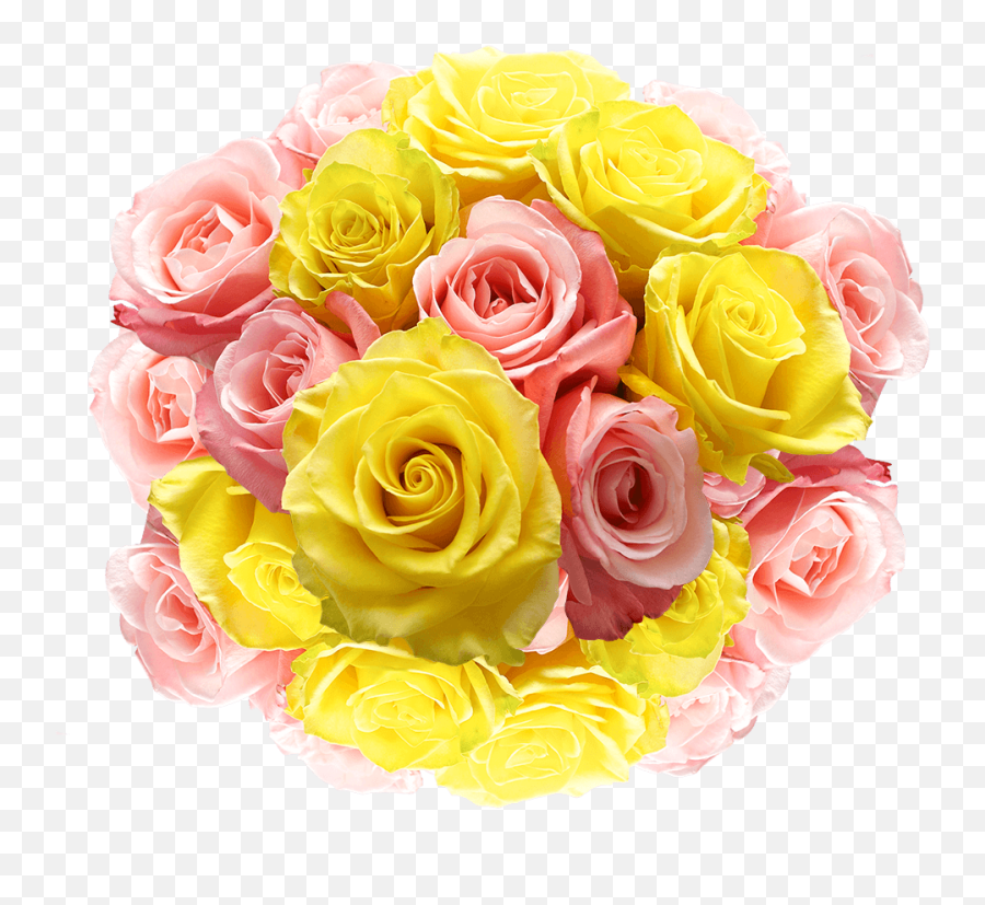 Fresh Pink Yellow Roses Free Delivery - Yellow And Pink Roses Emoji,What A So Yellow Emotion Colombian English