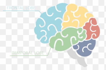 What Is Ftd U2013 Ftd Talk - Colorado State Alternate Logo Emoji,Brain Lobes Emotion Intellect Personality