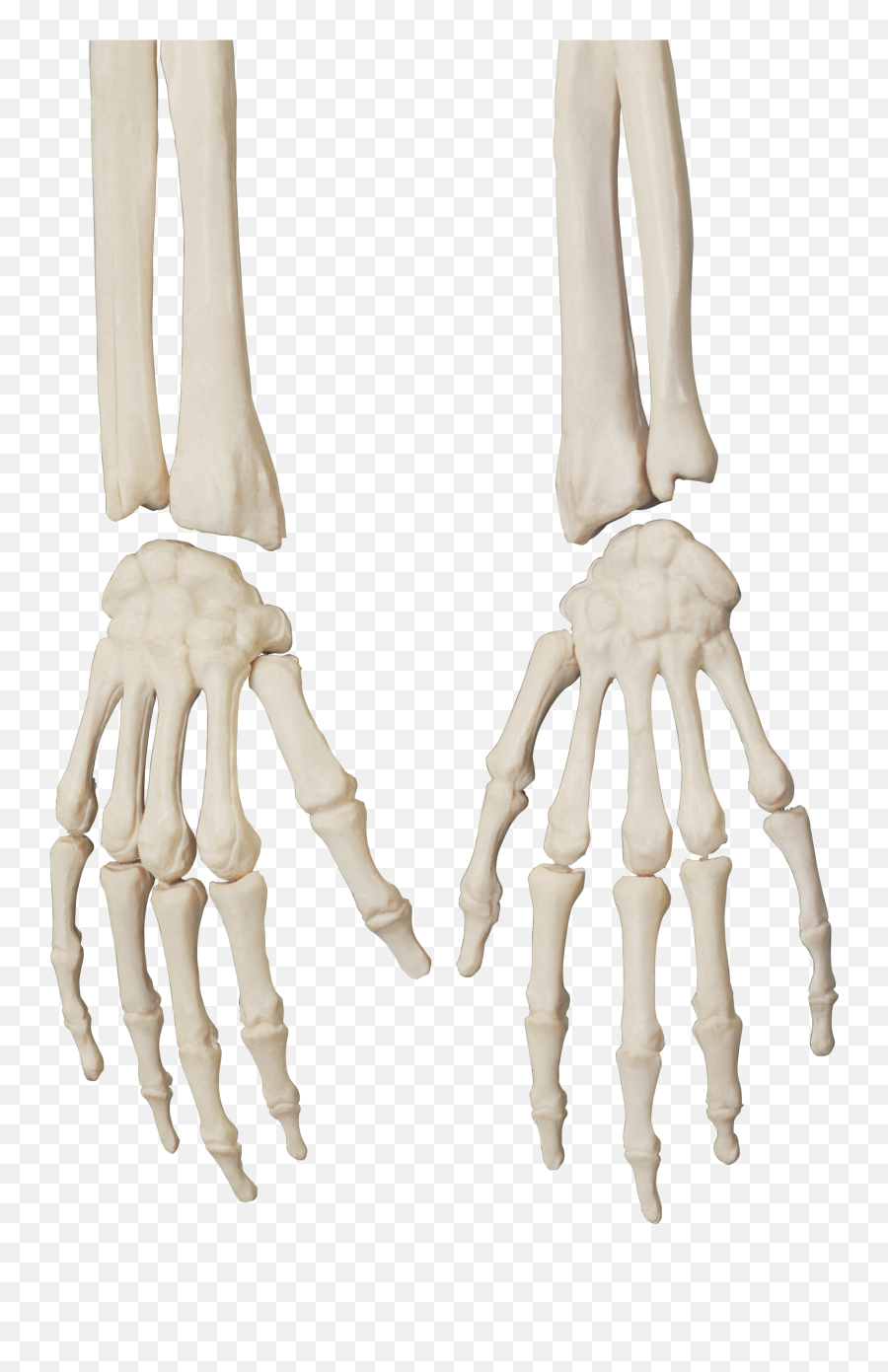 Black Panther Clip - Shefalitayal Human Hand Skull Emoji,Skeleton Hand Emojis