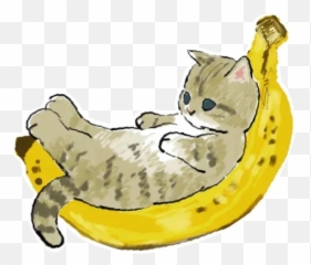 Bananacat - Meong Sticker Pack Stickers Cloud Emoji,Ripe With Emotions