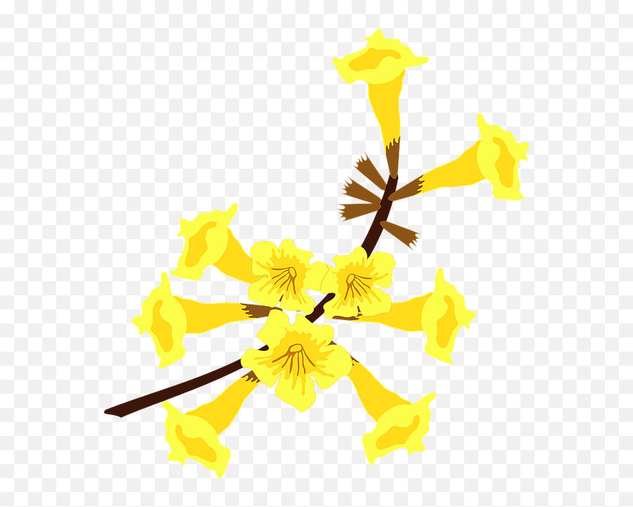 Free Photo Nature Flower Tree Clip Art - Flor Ipe Amarelo Png Emoji,Human Emotion Tree Art Design Art