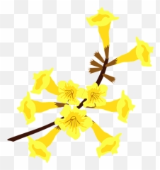 Free Photo Nature Flower Tree Clip Art - Flor Ipe Amarelo Png Emoji,Human Emotion Tree Art Design Art