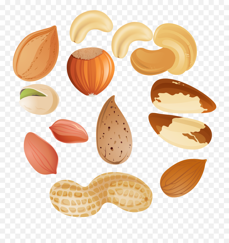 Brown Acorn Nut - Nuts Clipart Emoji,Nuts Emoji