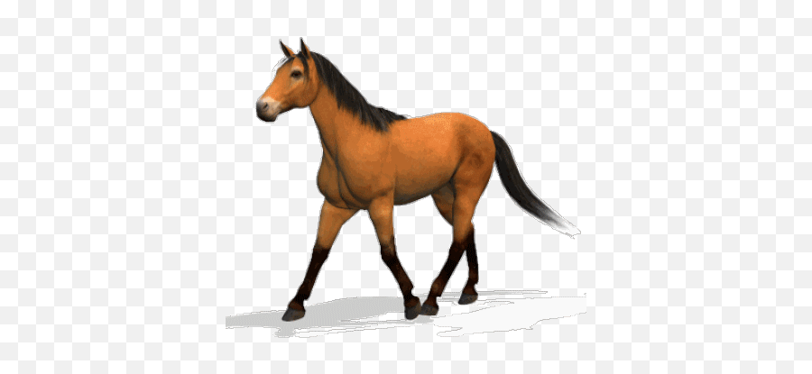 Top Crazy Horse Stickers For Android - Horse Animated Gif Emoji,Horse Emoticons
