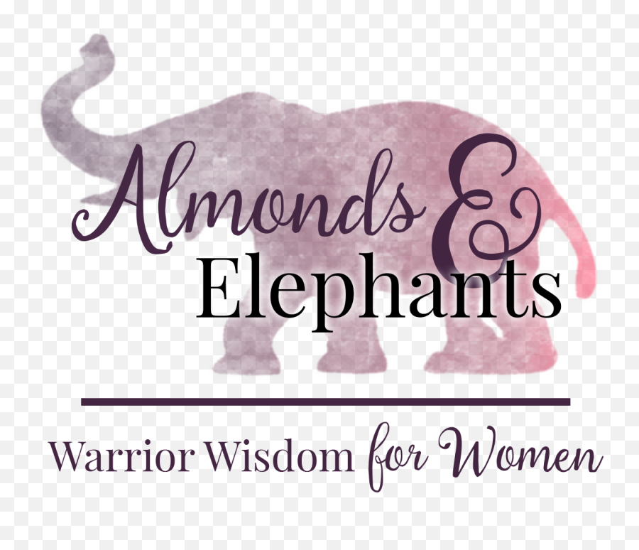 About Me U2014 Almonds U0026 Elephants - Animal Figure Emoji,Elephant Emoticon For Facebook