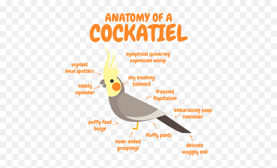 Anatomy Of A Cockatiel Cute Funny Bird - Language Emoji,Bird Emoji Pillows