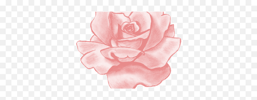 Flower Shop - Aesthetic Pink Rose Sticker Emoji,Tumblr Emoticon Face Flowre