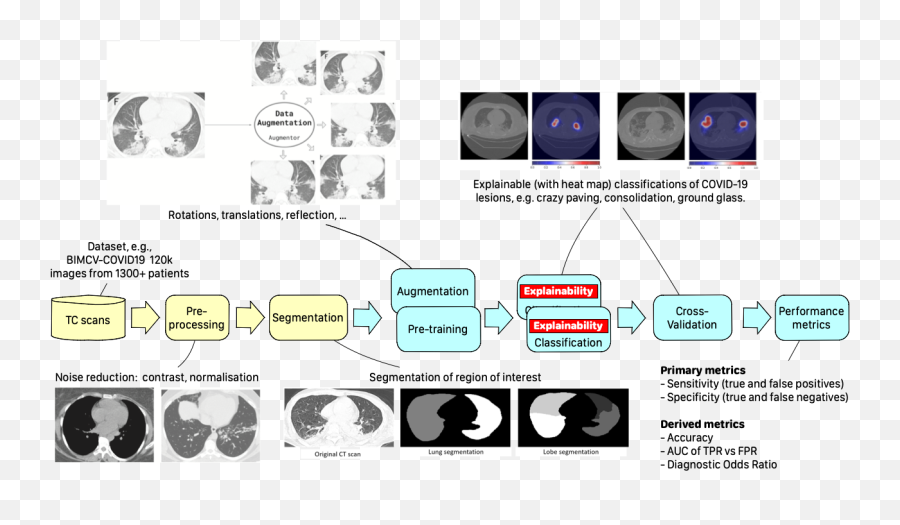 Accelerating Digital Pathology Pipelines With Nvidia Clara - Language Emoji,E Motion 2.0 Emotion Chart