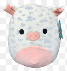 Baron The Bear Squishmallow Emoji,Emoji Pillows At Walgreens
