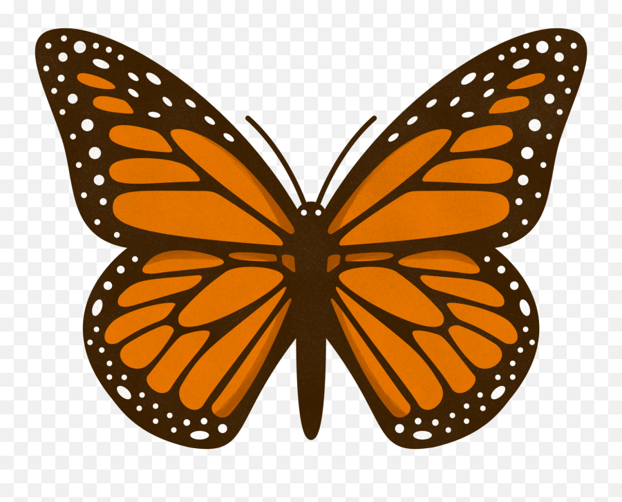 Meadow Pop - Up Restaurant Identity U2014 Mary Boyer Design Emoji,Orange Butterfly Emoji