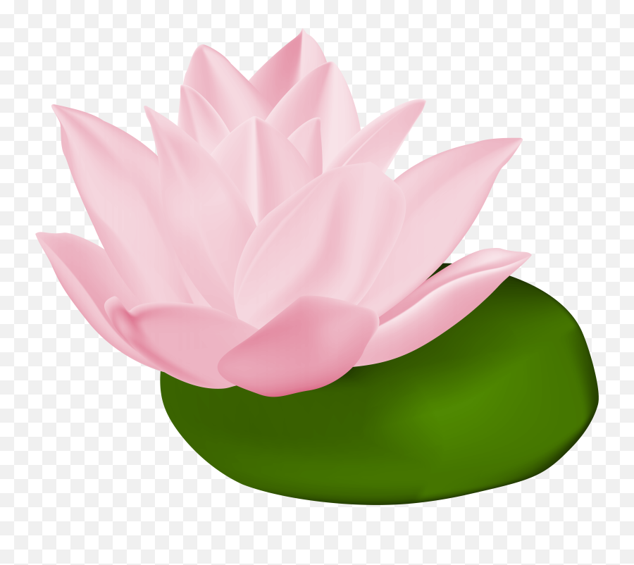 Pink Water Lily Transparent Png Clip Emoji,Lily Pad Emoji