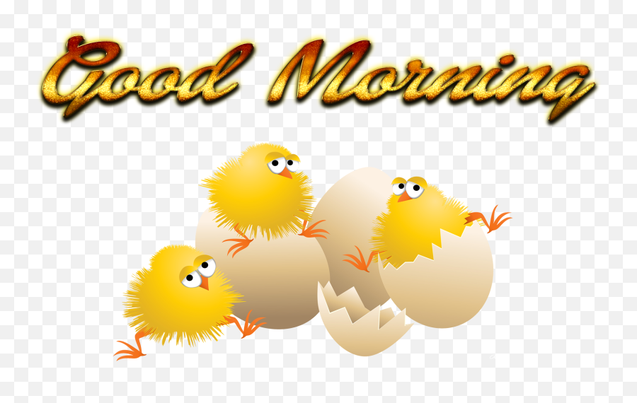 Wednesday Morning Png U0026 Free Wednesday Morningpng Emoji,Morning Bird Emoji