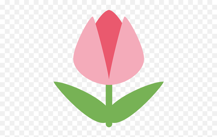 Tulip Emoji Meaning With Pictures From A To Z - Tulip Emoji Twitter,Cherry Blossom Emoji