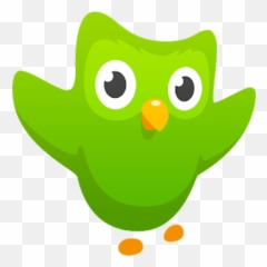 Elementary U2013 Cradle 2 Career Emoji,Duolingo Emoticons