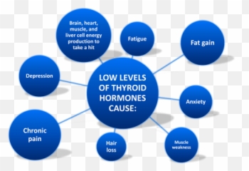 Why Stress Causes Fatigue And How To Overcome Stress - The Sharing Emoji,Stress And Emotions