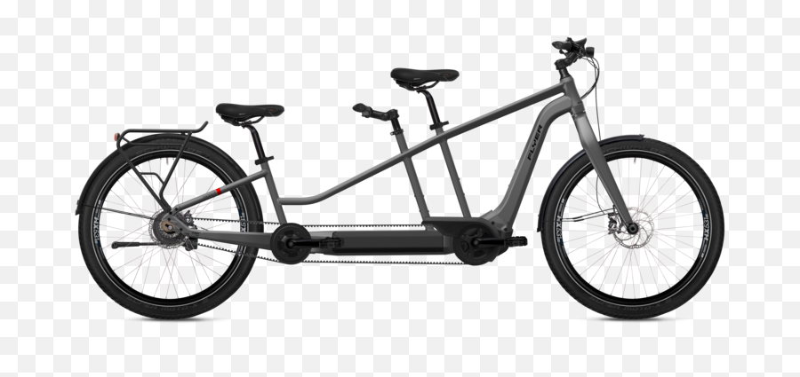 Flyer Tandem 710 Année 2022 - Flyer Tandem E Bike Emoji,Emotion Atom Lynx 5.5 Throttle