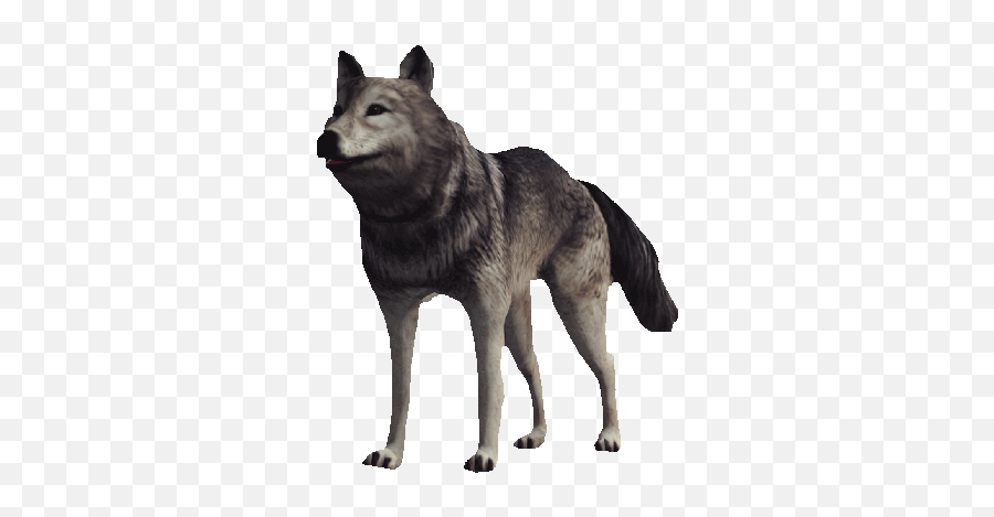 Howling Wolves Gif Cool Anime Cute - Wolf Gif Transparent Emoji,Howling Wolf Emoji