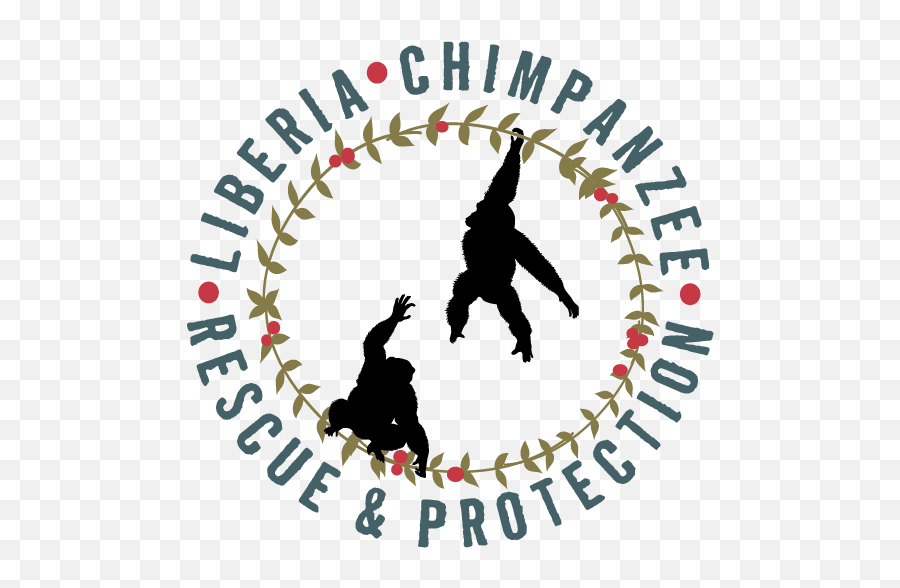 World Chimpanzee Day - Prezi Logo Aesthetic Emoji,Different Chimpanzee Emotions